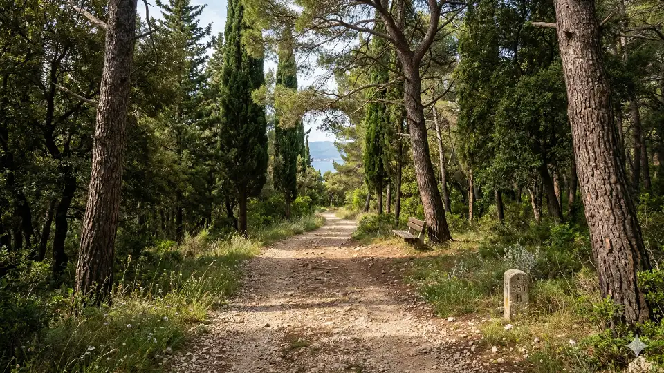 Marjan Hill forest path